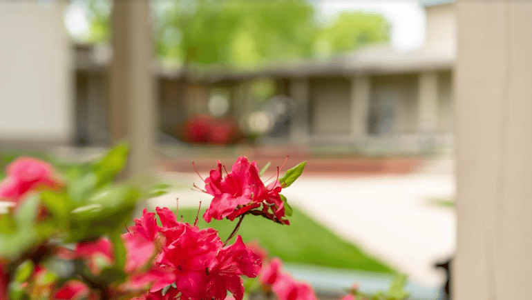 A Place to Belong: Alumni Spotlight: Alli Perrin ’11